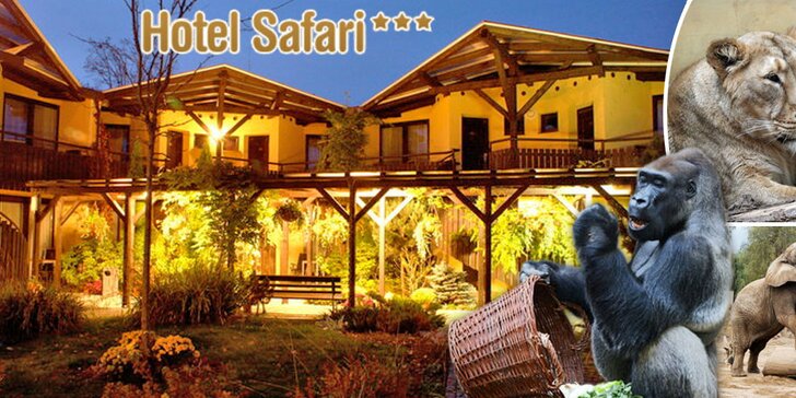 Noc v Hotelu Safari*** a prohlídka ZOO Dvůr Králové