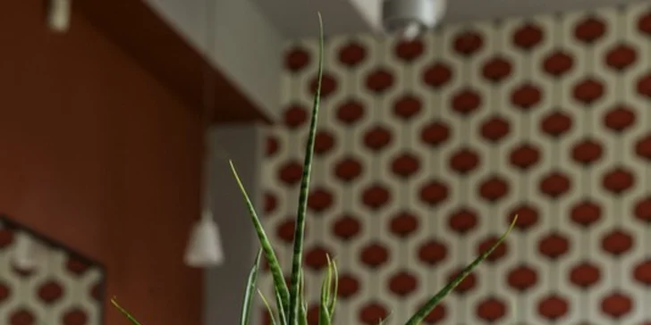 Vánoční menu o 3 chodech v restauraci ne-SMYSL