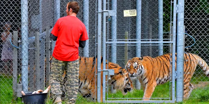 Staňte se ošetřovatelem v ZOO Tábor: 5hodinový zážitek pro milovníky zvířat