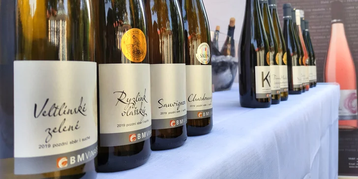 Vstup na vinný festival v podobě degustační sklenice i útrata v hodnotě 600-2500 Kč