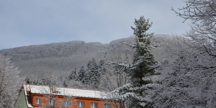 Beskydy pro 2 až 6 osob. Hotel, sruby, bungalovy!