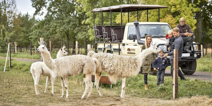Procházka po Safari Resortu a 30 min. mazlení s lamou až pro 4 osoby