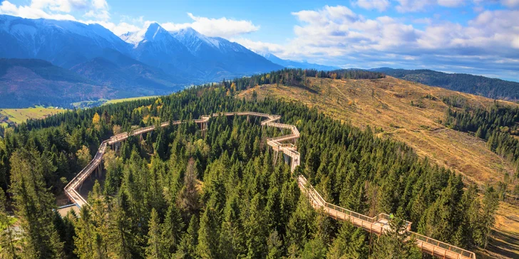 Užijte si procházku korunami stromů. Naučná stezka je dlouhá 1234m.