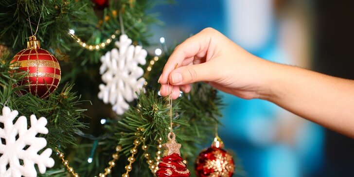 Vánoční stromky z Beskyd - smrk, jedle i borovice