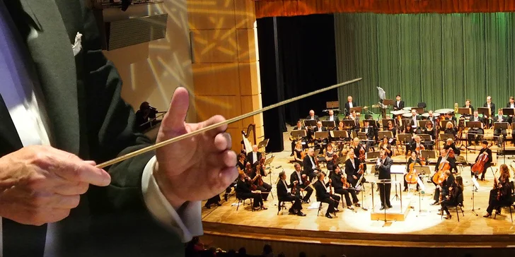 Vstupné na koncerty ve Filharmonii Hradec Králové