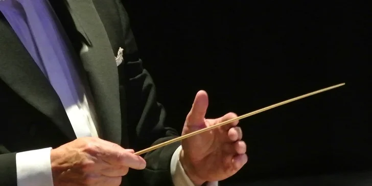 Vstupné na koncerty ve Filharmonii Hradec Králové
