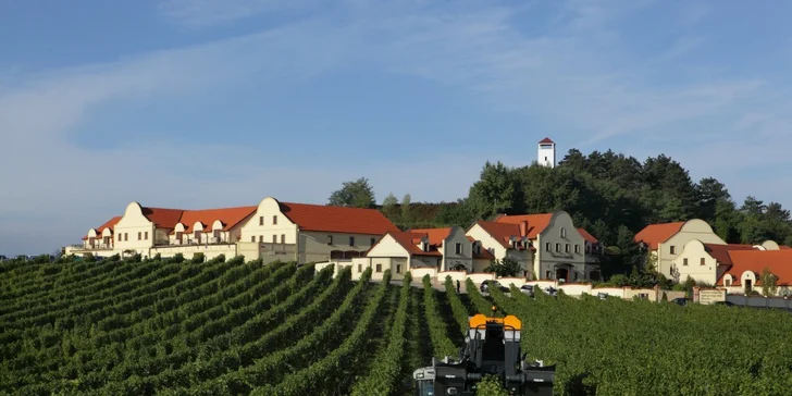 Zážitková dovolená ve Vinařství u Kapličky