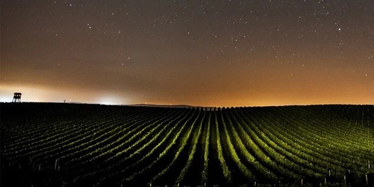 Zážitková dovolená ve Vinařství u Kapličky