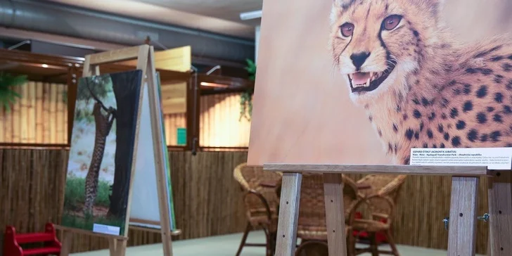Vstupenka pro dospělého do Krokodýlí Zoo Praha aneb Vodní plazi naživo