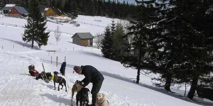 Hodinová jízda na psím spřežení v předhůří Šumavy