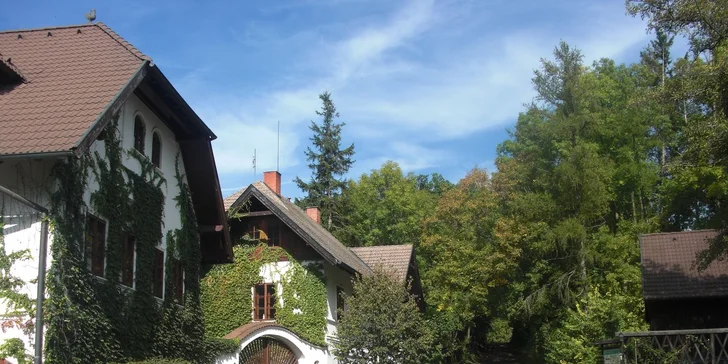 Pohodová dovolená v Bučickém mlýnu