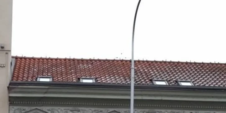 Thajská masáž v novém salónu Lotus Chrudim