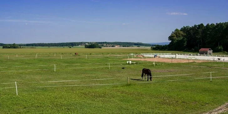 Projeďte se na koních – na jízdárně nebo v přírodě