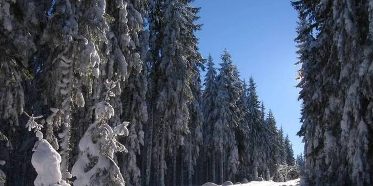 3 noci u Lipenské přehrady a lyžování na Hochfichtu