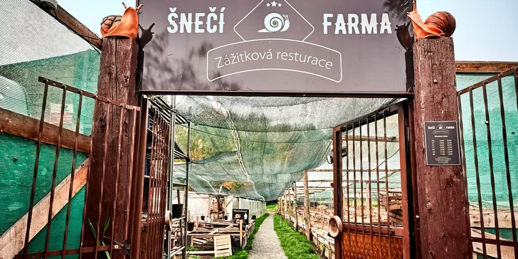 Šnečí maso je nejen chutné, ale i velmi výživné.