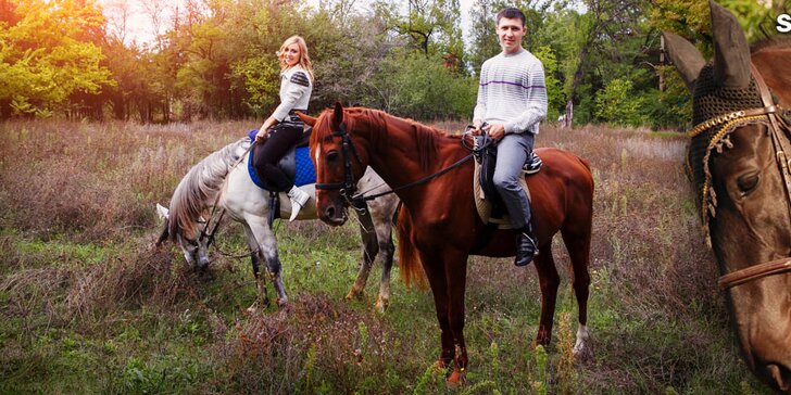 Projeďte se na koních – na jízdárně nebo v přírodě