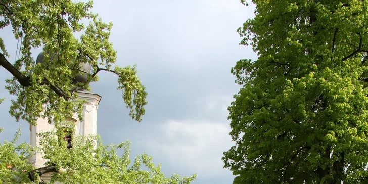 Výlet do labyrintária i lahůdka Čápy s mákem