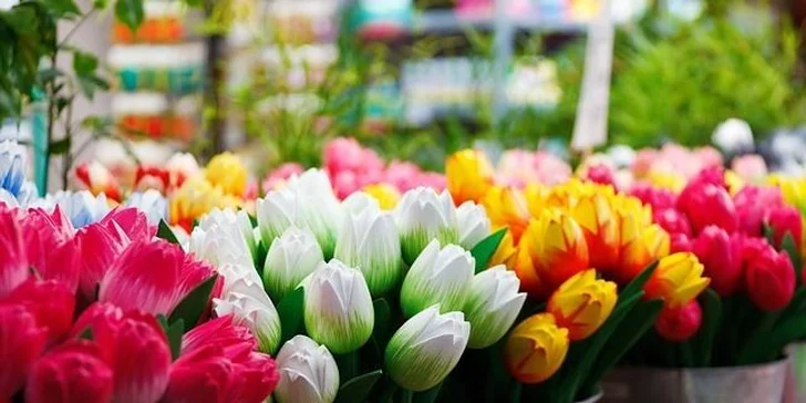 3 dny v Nizozemí – Amsterdam, Keukenhof a další