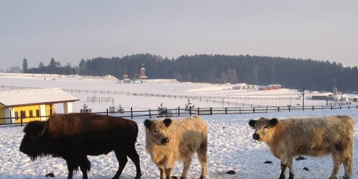 Vstupné pro páry i rodiny s dětmi: Celodenní zábava v Šiklandu