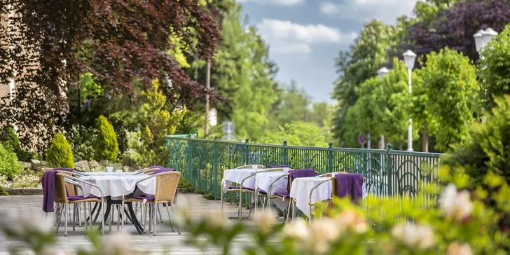 Hotel má skvělou polohu: jen 300 metrů Hlavní třídy, ale v klidné části města na okraji lázeňského parku.