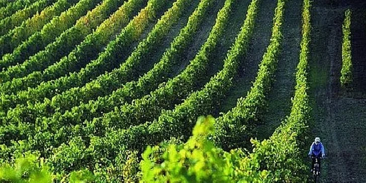 Valentýnský wellness pobyt ve Vinařství U Kapličky