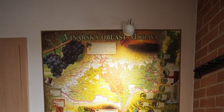 Dovolená s degustací vína a rautem na jižní Moravě