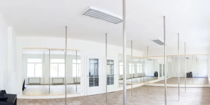 Kurzy pole dance pro začátečnice (18–20 lekcí)