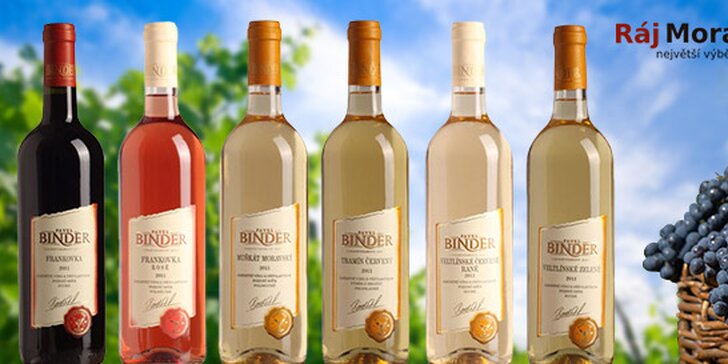 6 přívlastkových vín z Vinařství Pavel Binder, Rakvice