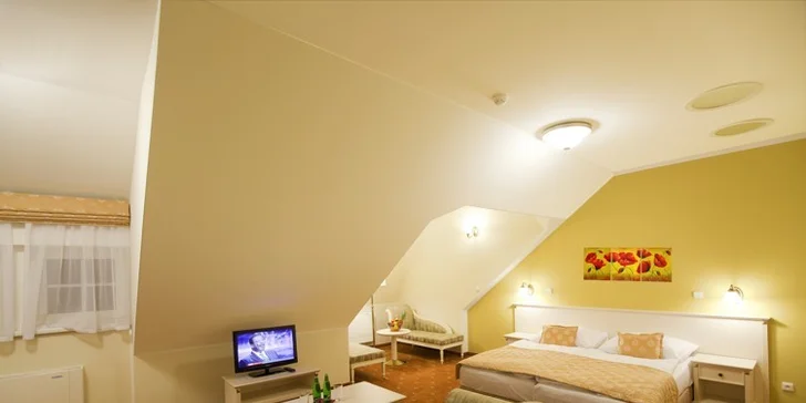 Odpočinek pro dva v luxusním hotelu ve Varech