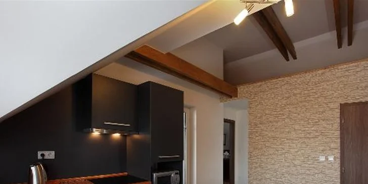 Apartmán nebo celý penzion u Hlinska pro 6 i 12 osob s možností wellness