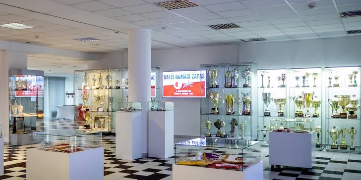 A bude to i zábava, nechybí playstation se hrou FIFA, fotokoutek a návštěva VIP salonku i stadionu.