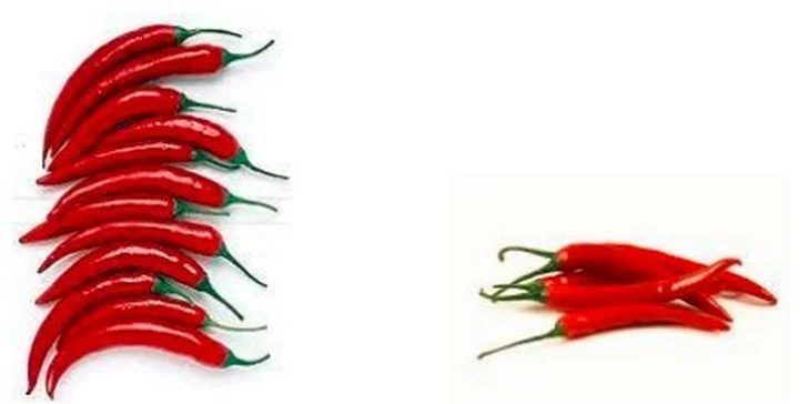 Rolletic + Chilli papričky (nepálí ale spalují)