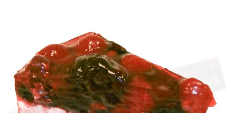 Cheesecake z cukrárny Hájek & Hájková – 5 druhů