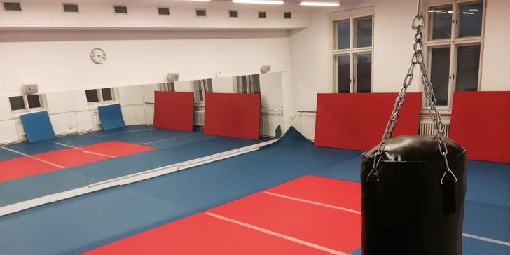 Kurzy sebeobrany - Krav Maga