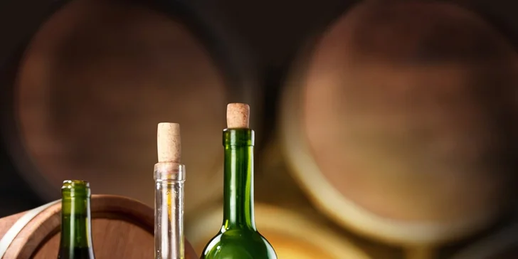 Pobyt v Lednici s degustací vín i tříchodovou večeří