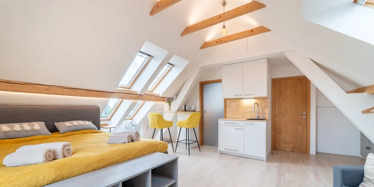 Apartmán disponuje manželskou posteľou, vlastnou kúpeľňou, kuchynským kútom, klimatizáciou a projektorom.