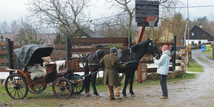 Jízda historickým kočárem taženém starokladrubským koněm