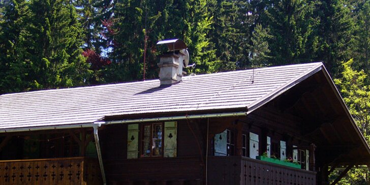 Švýcarský srub pro 4 osoby a neomezeně sauna