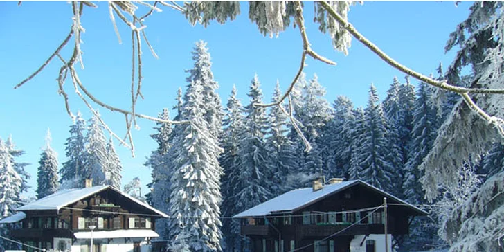 Švýcarský srub pro 4 osoby a neomezeně sauna