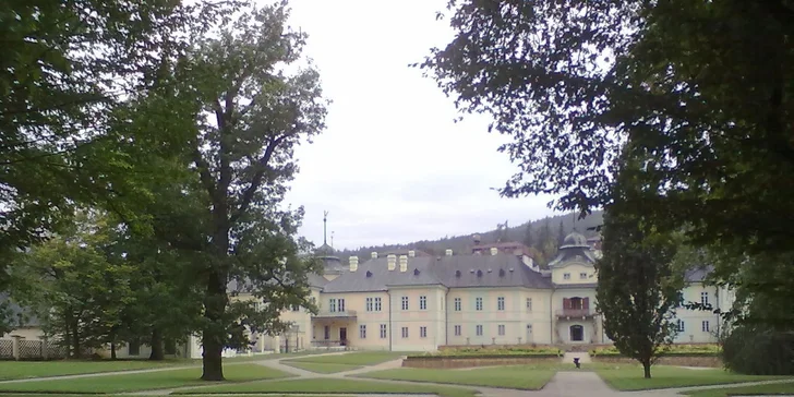Pečená husa v Manětíně - jen tento víkend
