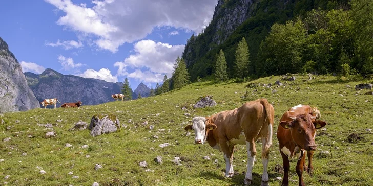 Jednodenní výlet do Berchtesgadenu s návštěvou solných dolů