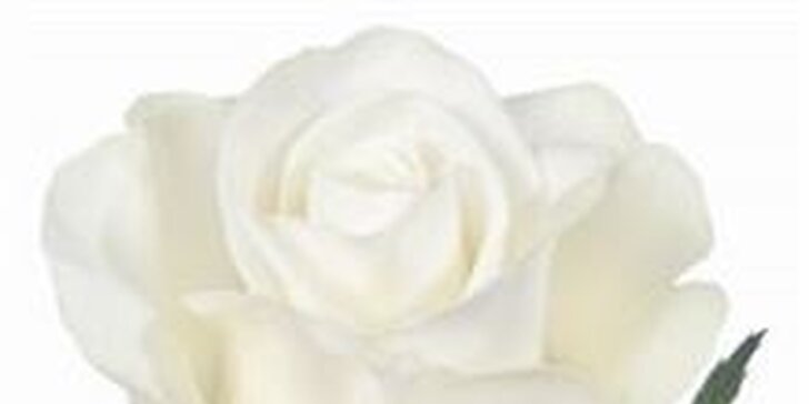 Valentýnská kytice z lásky – voňavé růže nebo tulipány