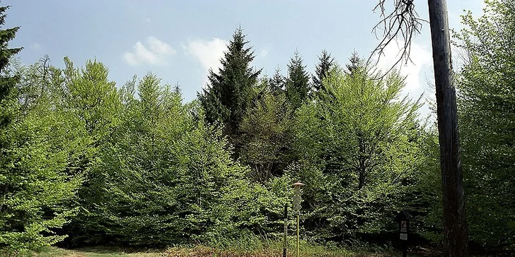 Relax ve Žďárských vrších s masáží i saunou