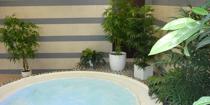 Dvouhodinový vstup pro jednoho do Wellness studia Flošna