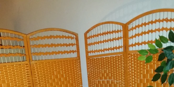 Vacushape s infrasaunou a vibroplošinou v délce 90 minut
