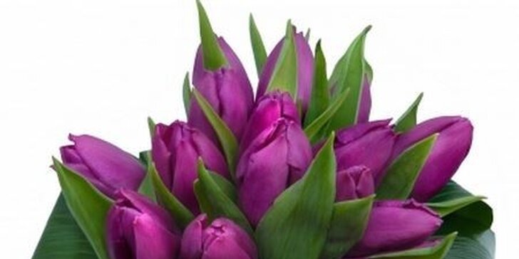 Kytice barevných tulipánů