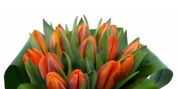 Kytice barevných tulipánů