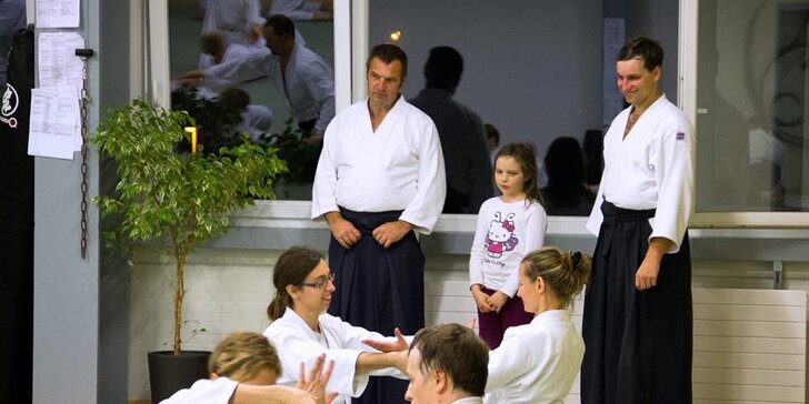 Aikido pro každého - 5 vstupů