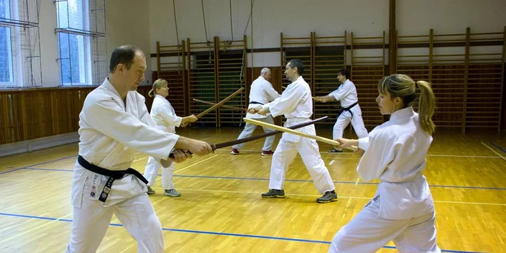 Aikido pro každého - 5 vstupů