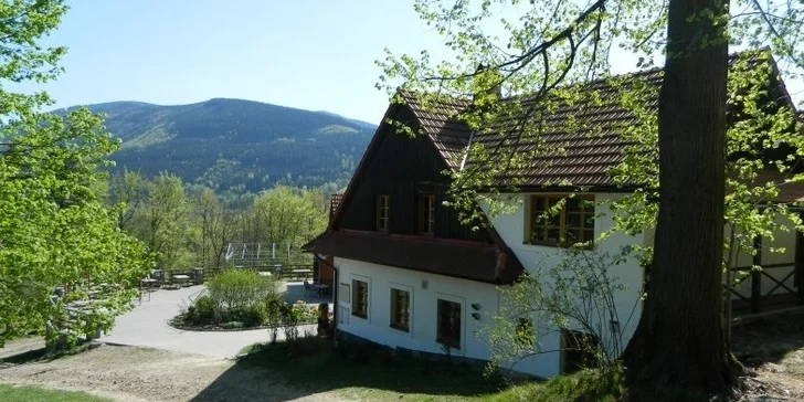 Dovolená v Beskydech u koní pro dva i celou rodinu